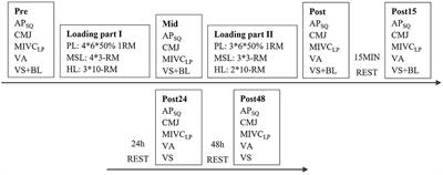 Acute Neuromuscular and Hormonal Responses to Power, Strength, and Hypertrophic Protocols and Training Background